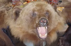 Чучела