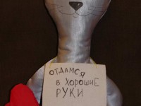 Кот авторский. 780 рублей