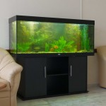 aquatium-oformlenny-1
