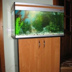 aquatium-oformlenny-16