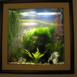 aquatium-oformlenny-19