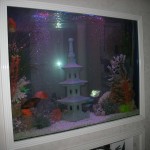 aquatium-oformlenny-28