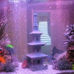 aquatium-oformlenny-29