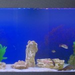 aquatium-oformlenny-4