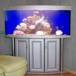 aquatium-oformlenny-5