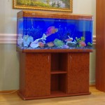 aquatium-oformlenny-7