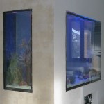 aquatium-oformlenny-9