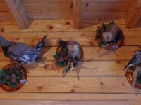 chychelo_2